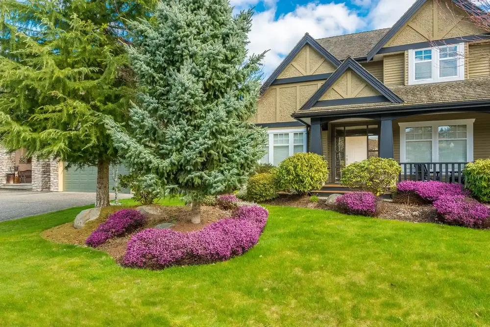 Mount Pleasant Property Management